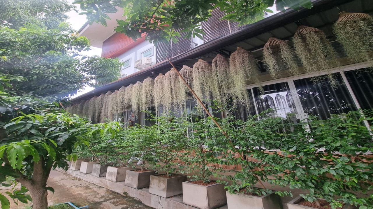 Photo of Outdoor in Wiset Chai Chan