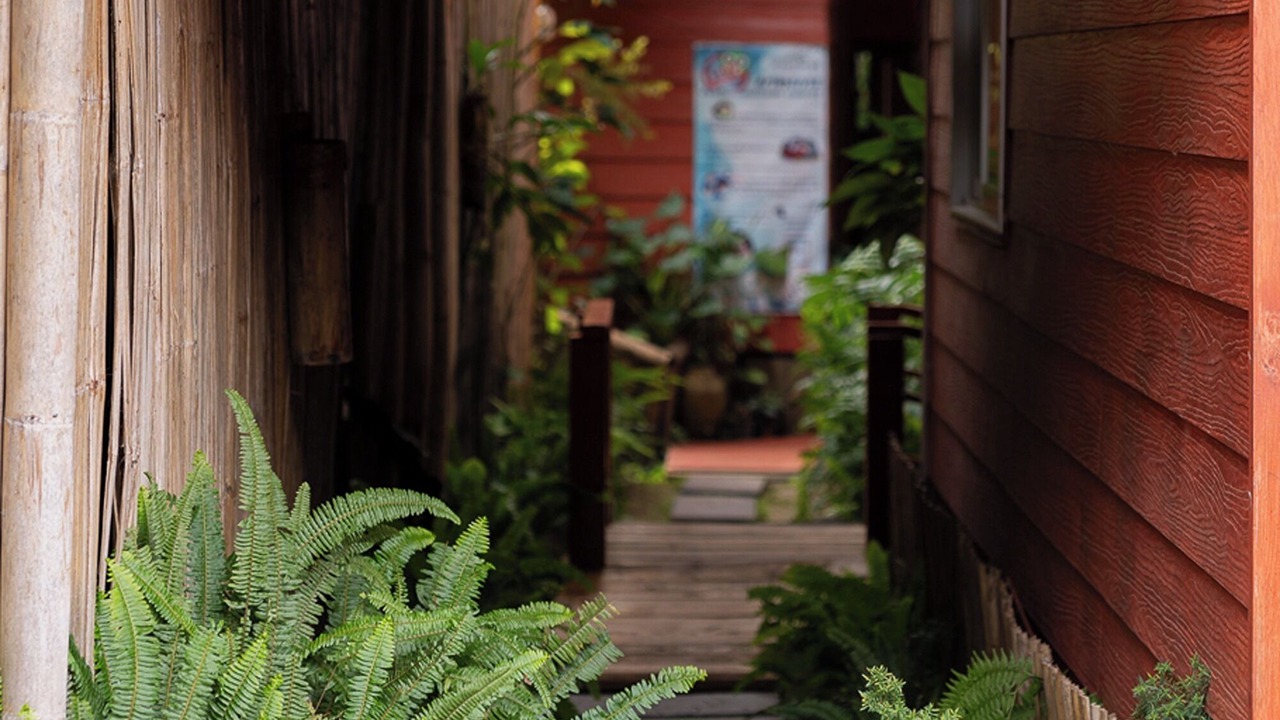 Photo of Outdoor in Mae On