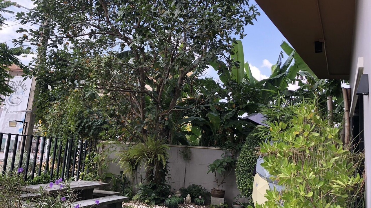 Photo of Outdoor in Nai Mueang