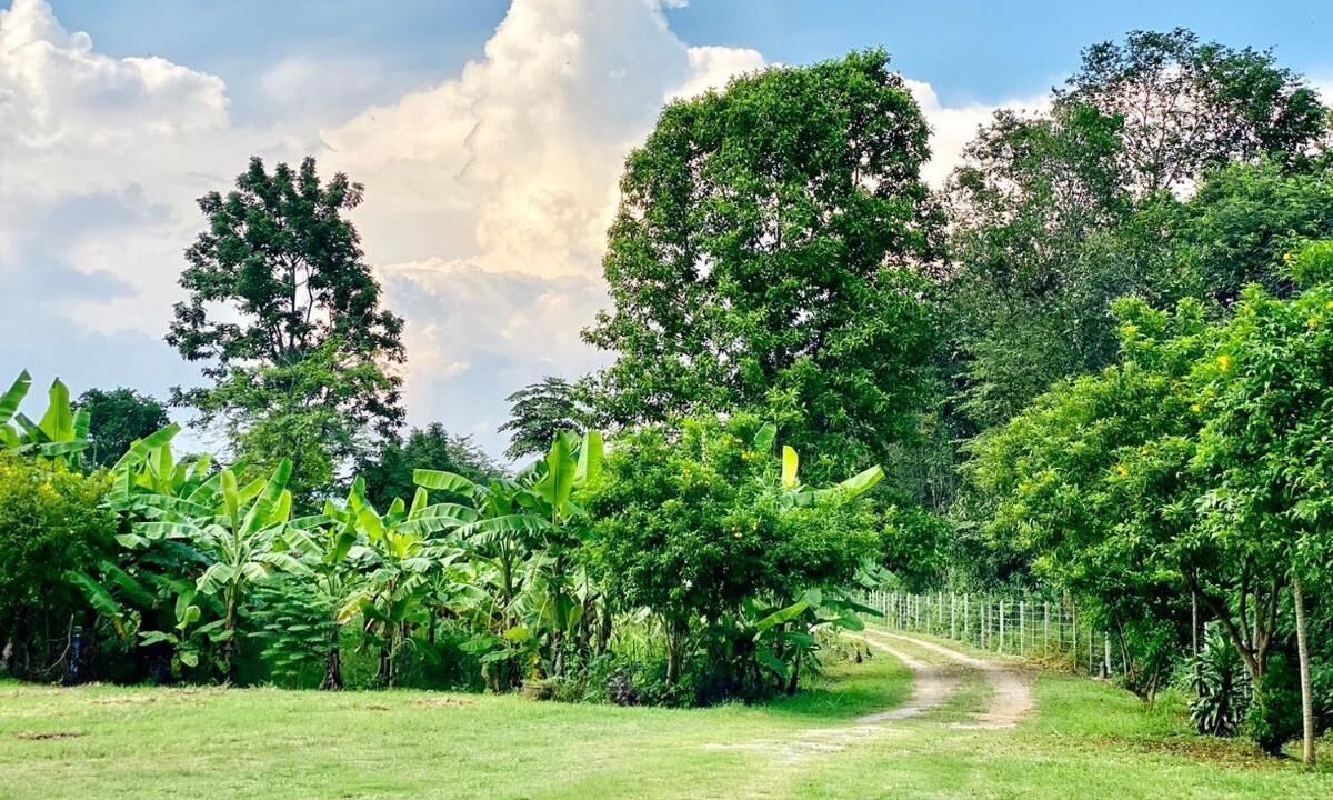 Photo of Outdoor in Song Phi Nong