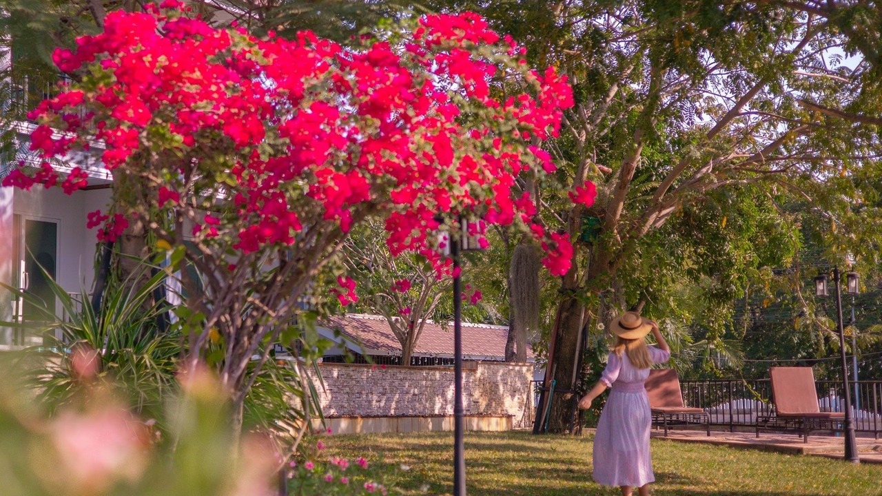 Photo of Outdoor in Sattahip