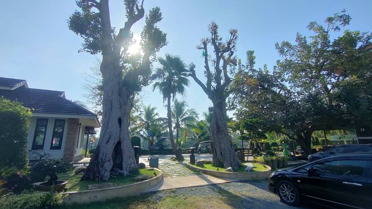 Photo of Outdoor in Makham