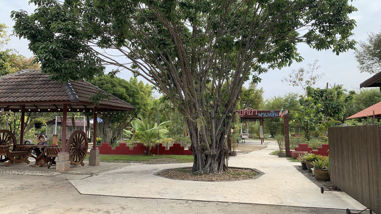 Photo of Outdoor in Nakhon Pathom