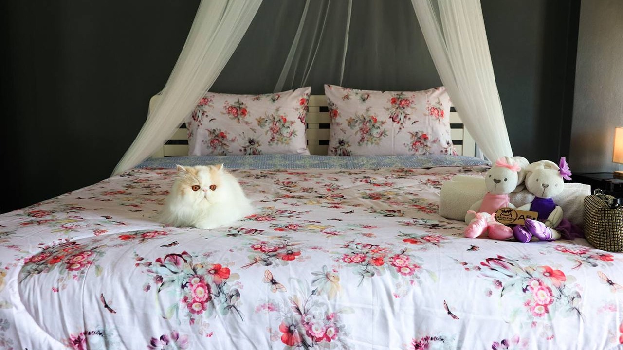 Photo of Bedroom in Ban Bang Saen