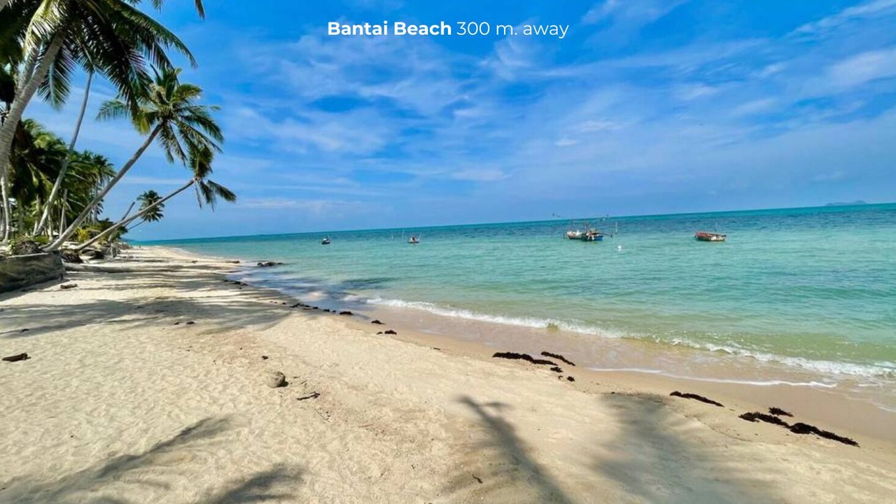 Photo of Others in Koh Samui