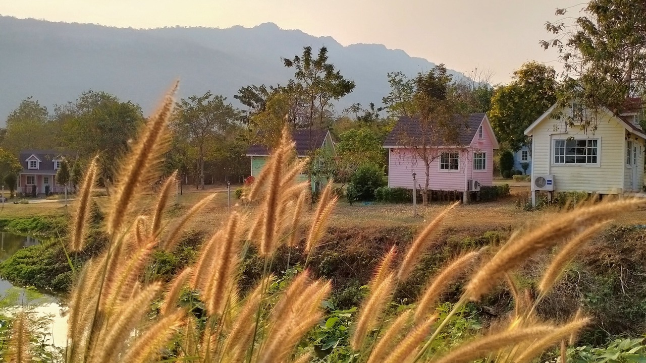 Photo of Outdoor in Chong Sadao