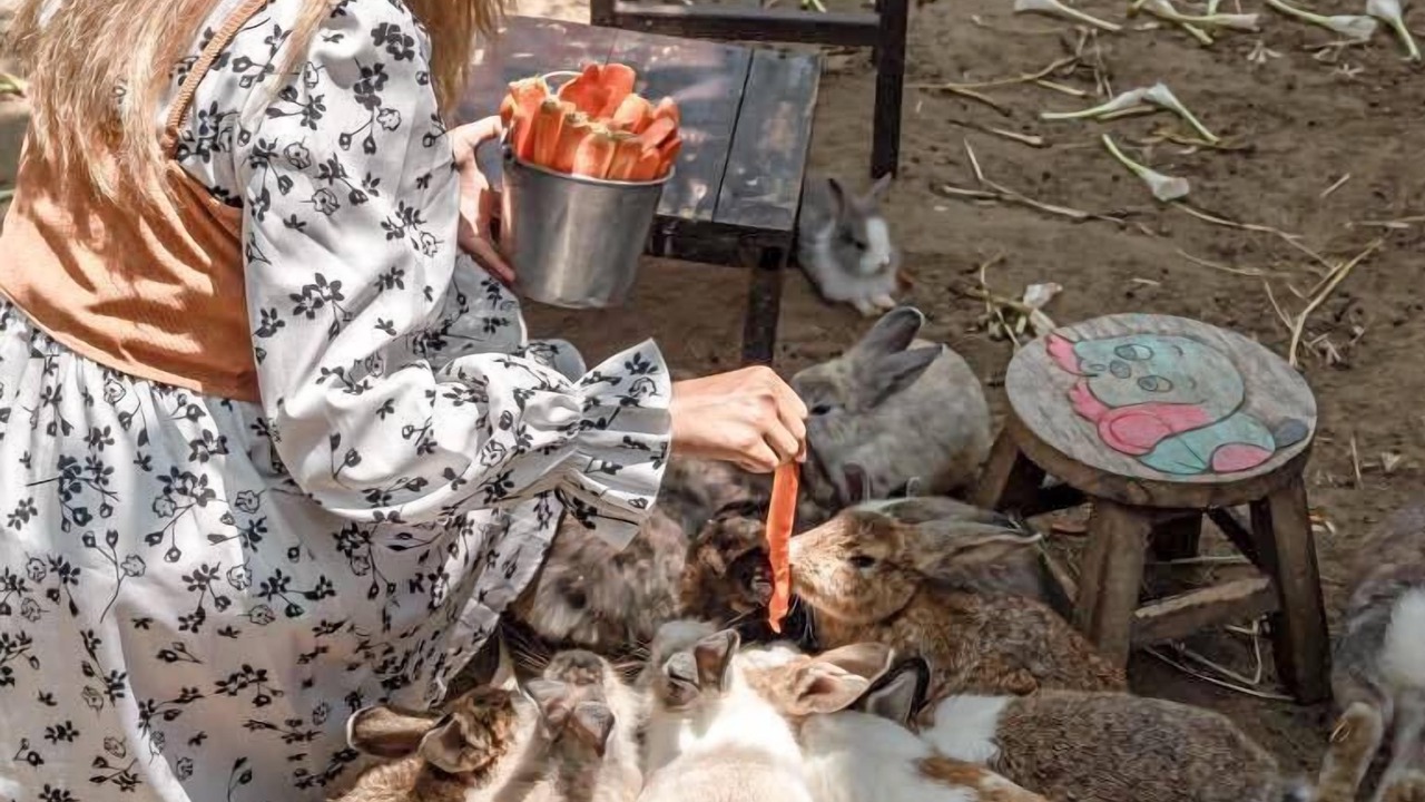 Photo of Others in Pak Chong