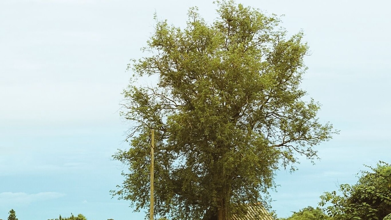 Photo of Outdoor in Yu Wa
