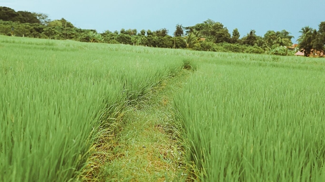 Photo of Others in Yu Wa