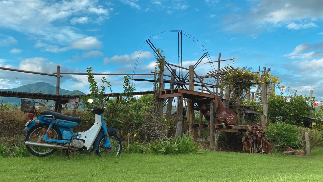 Photo of Others in Pua