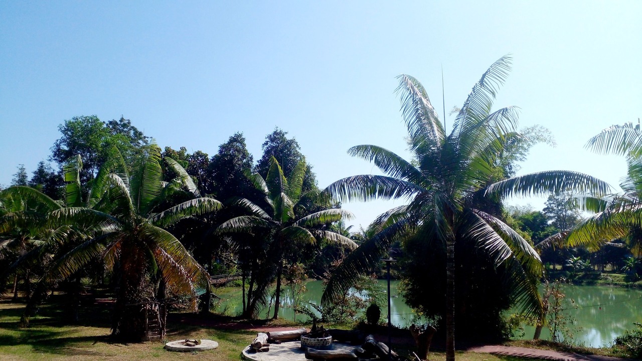 Photo of Outdoor in Chiang Rai