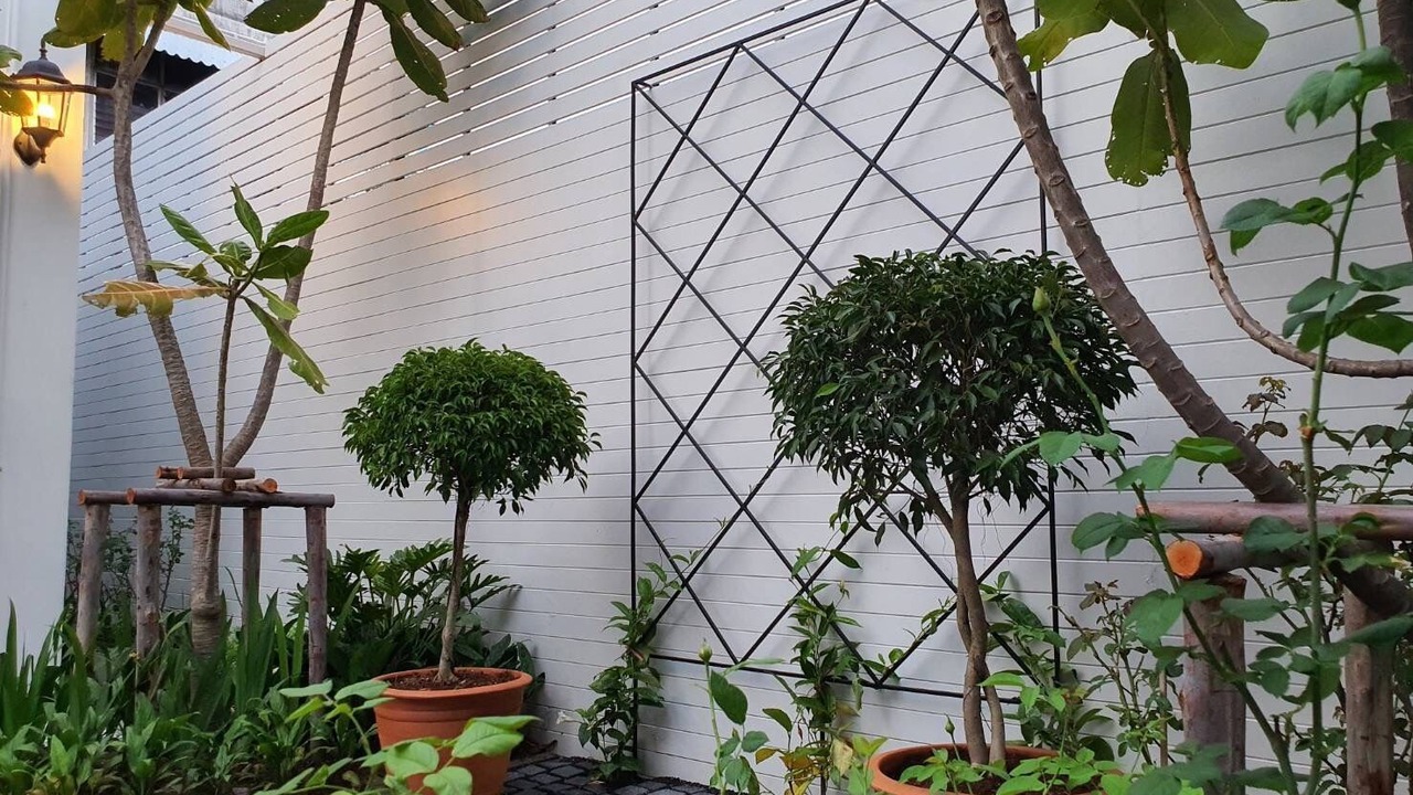 Photo of Outdoor in Prachuap Khiri Khan