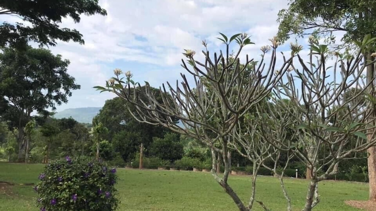 Photo of Outdoor in Wang Nam Khiao