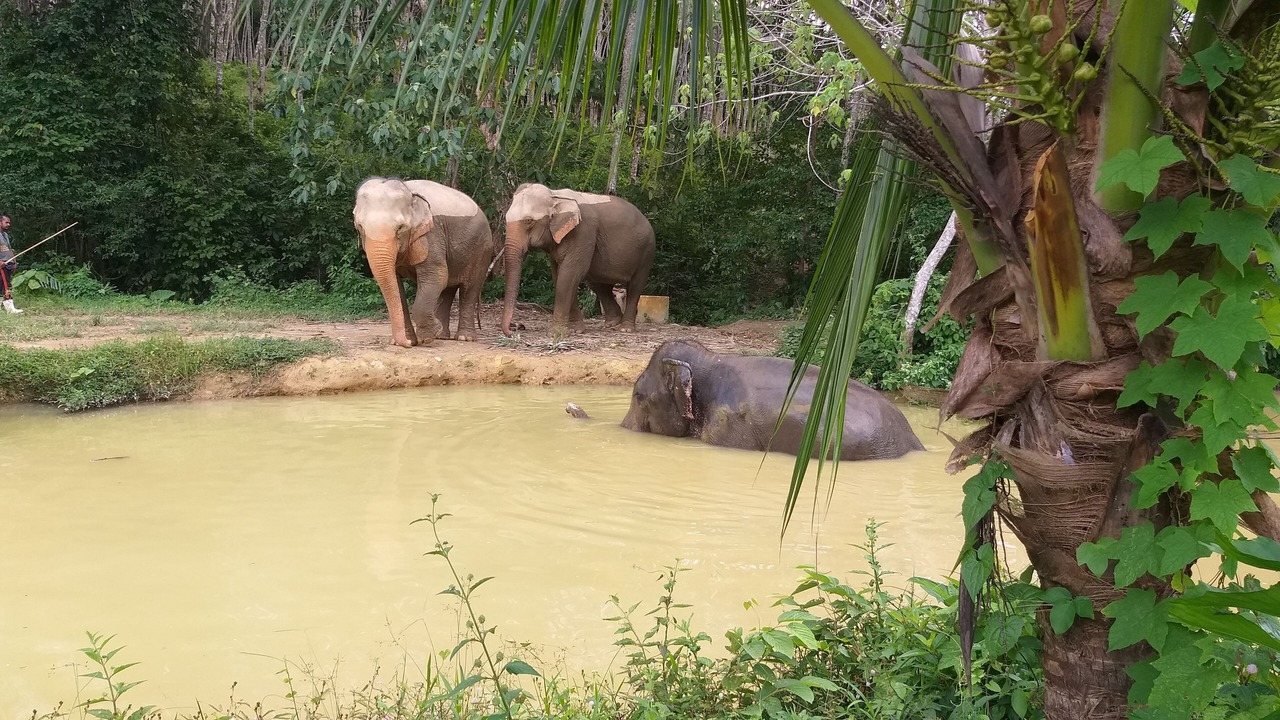 Photo of Others in Ko Lanta