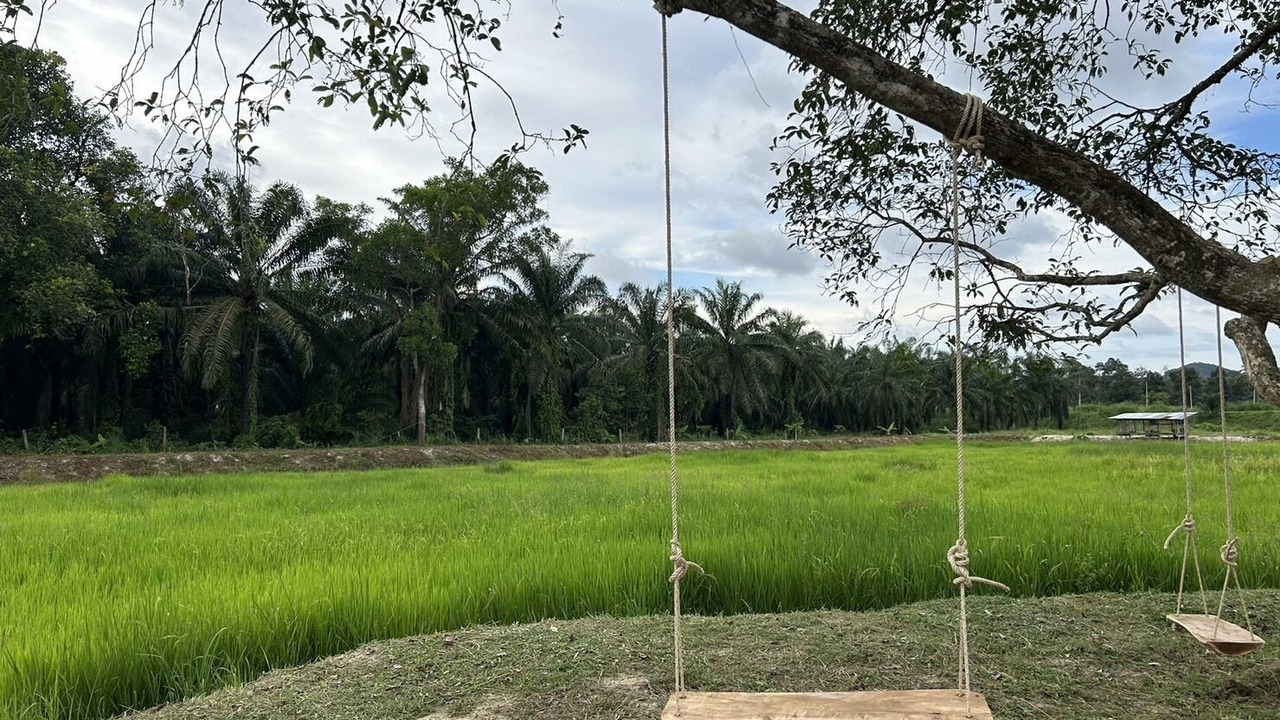 Photo of Outdoor in Tha Chana