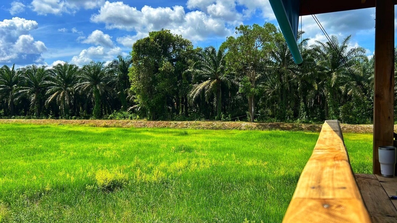 Photo of Outdoor in Tha Chana