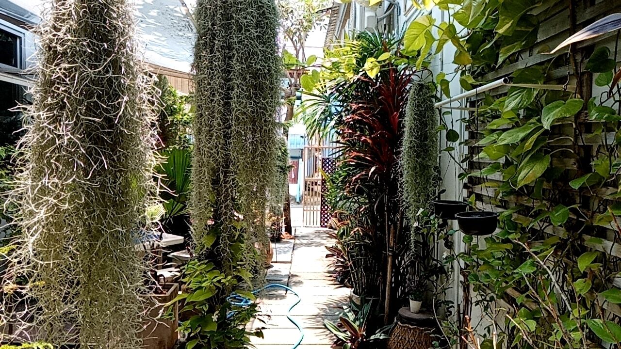 Photo of Outdoor in Khao Takiab