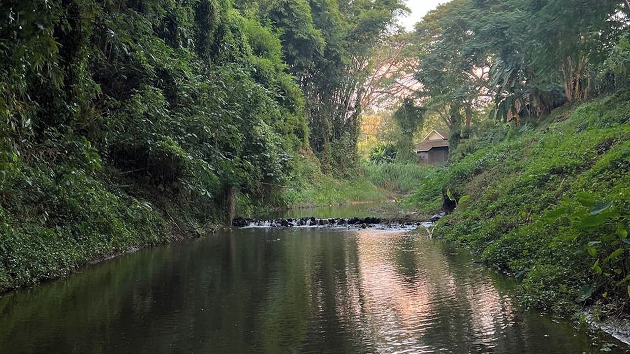 Photo of Others in Mae Pong