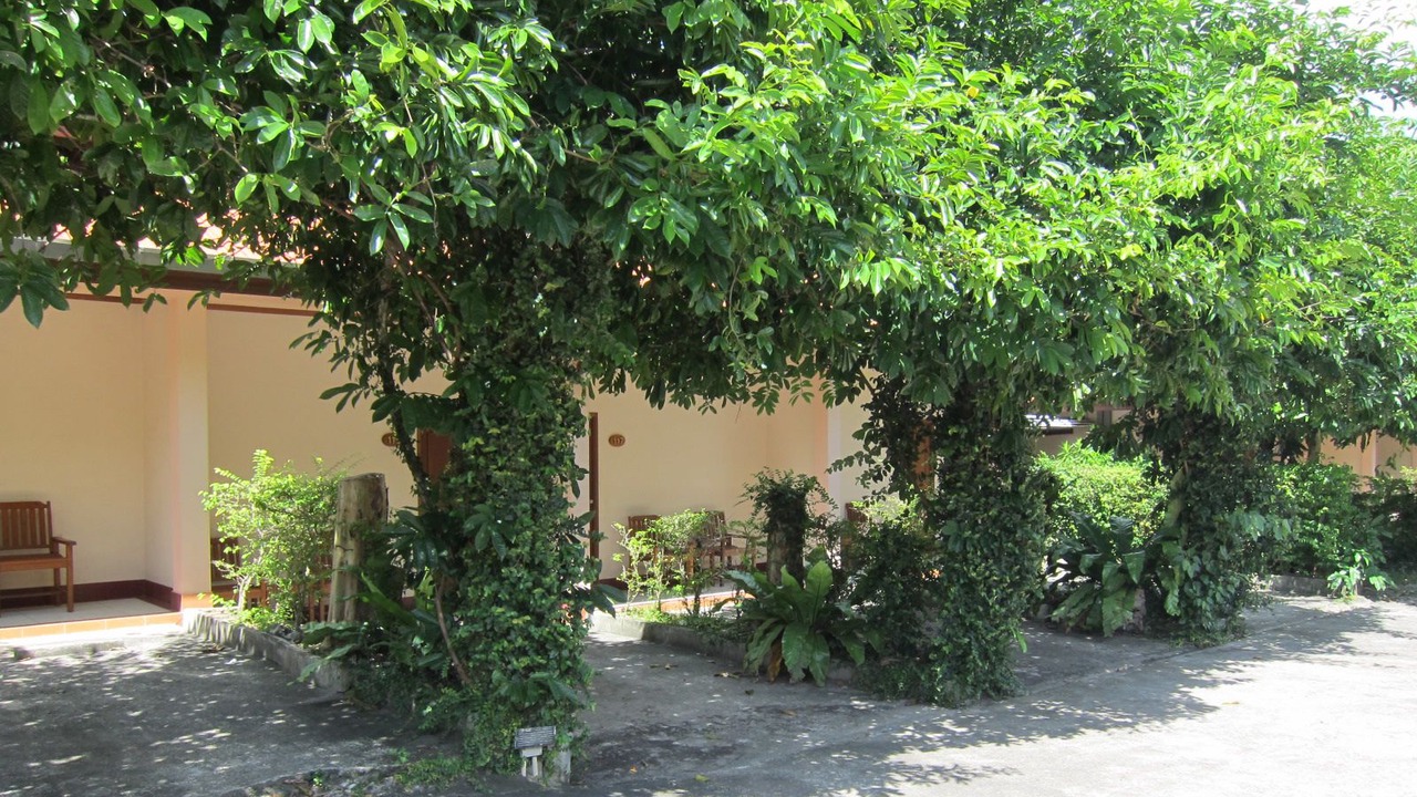 Photo of Outdoor in Downtown Krabi
