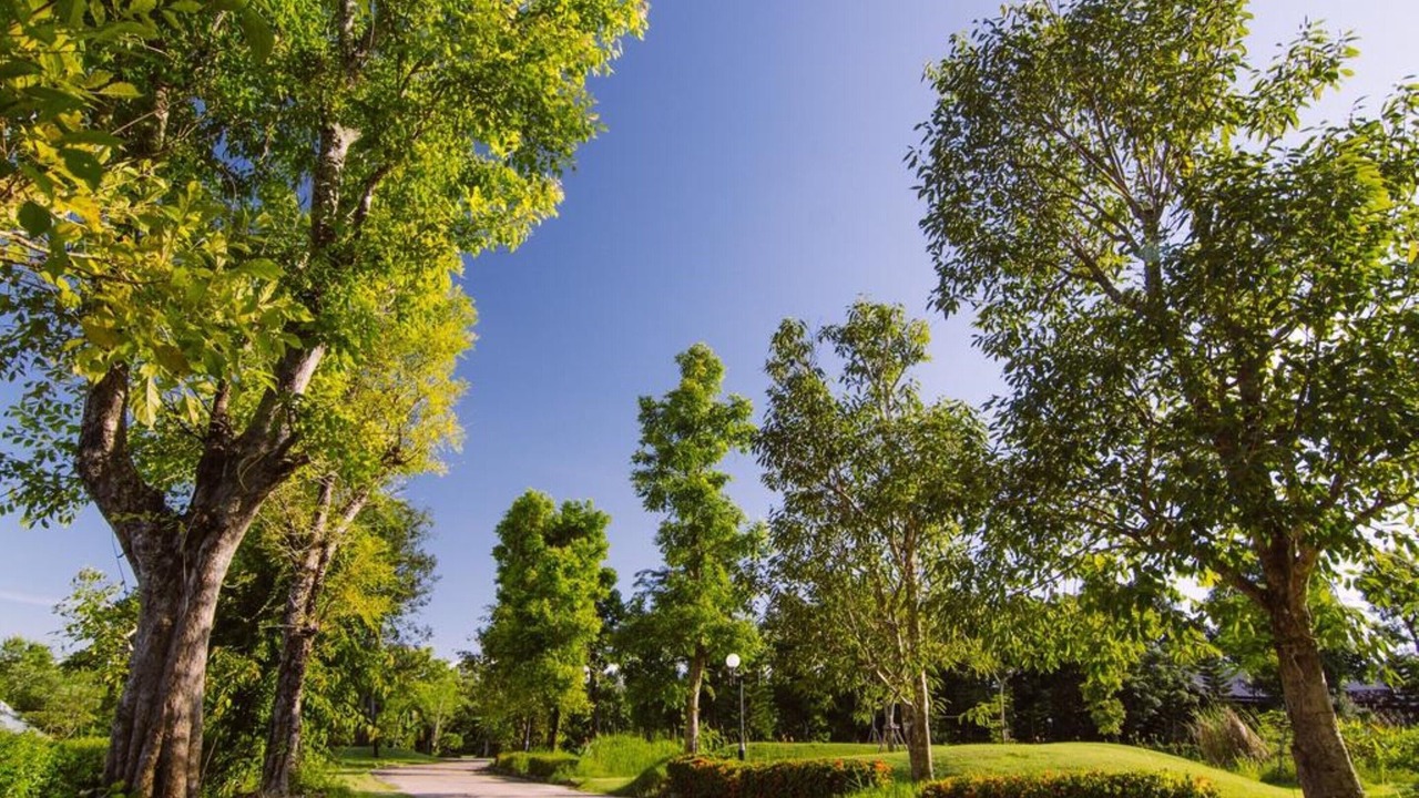 Photo of Outdoor in Udon Thani