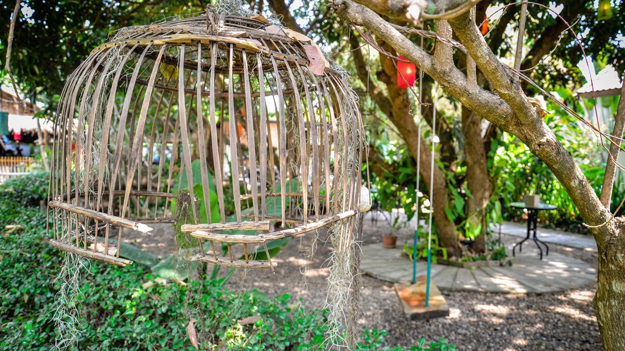 Photo of Outdoor in Hang Dong