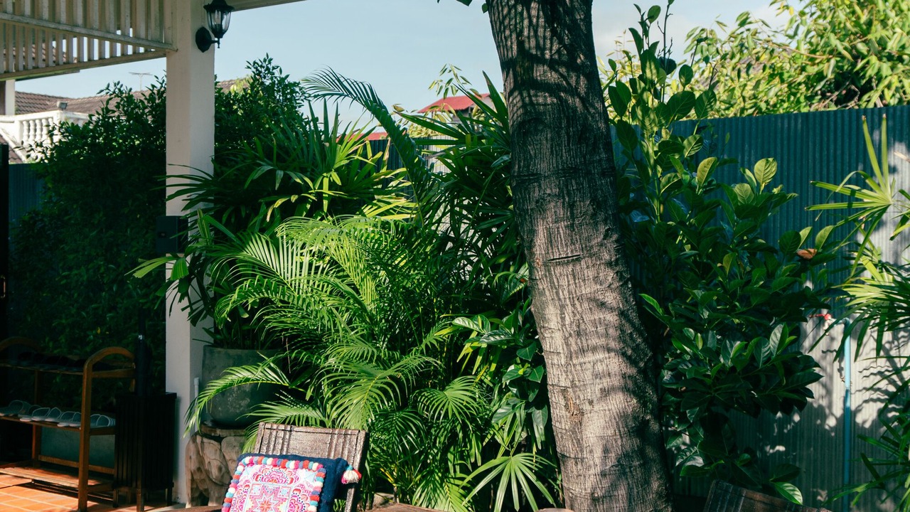 Photo of Outdoor in Wua Lai