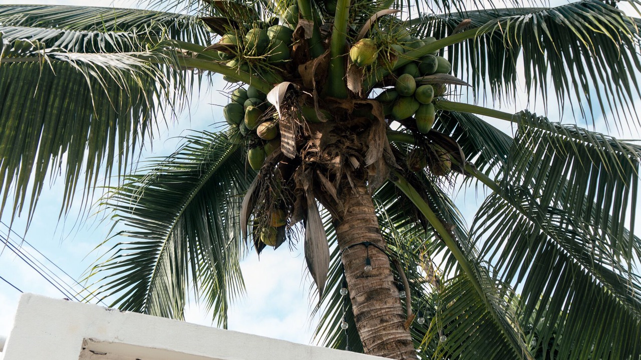 Photo of Outdoor in Wua Lai