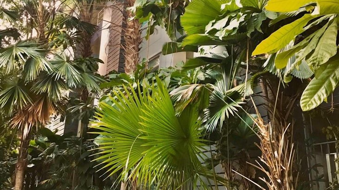 Photo of Outdoor in Pa Maet