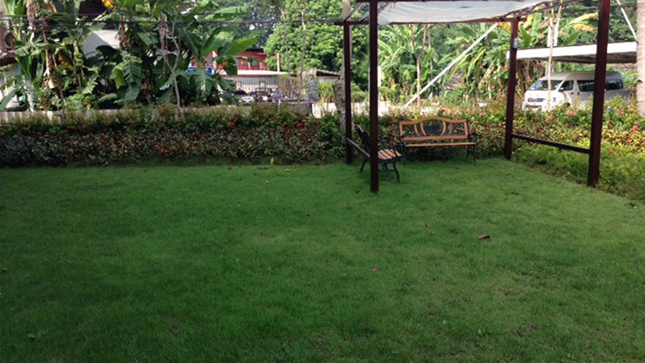Photo of Outdoor in Chiang Saen