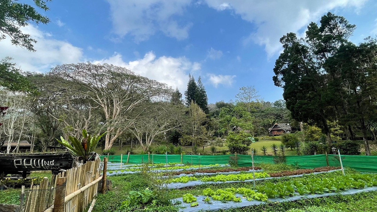Photo of Outdoor in Pong Yaeng