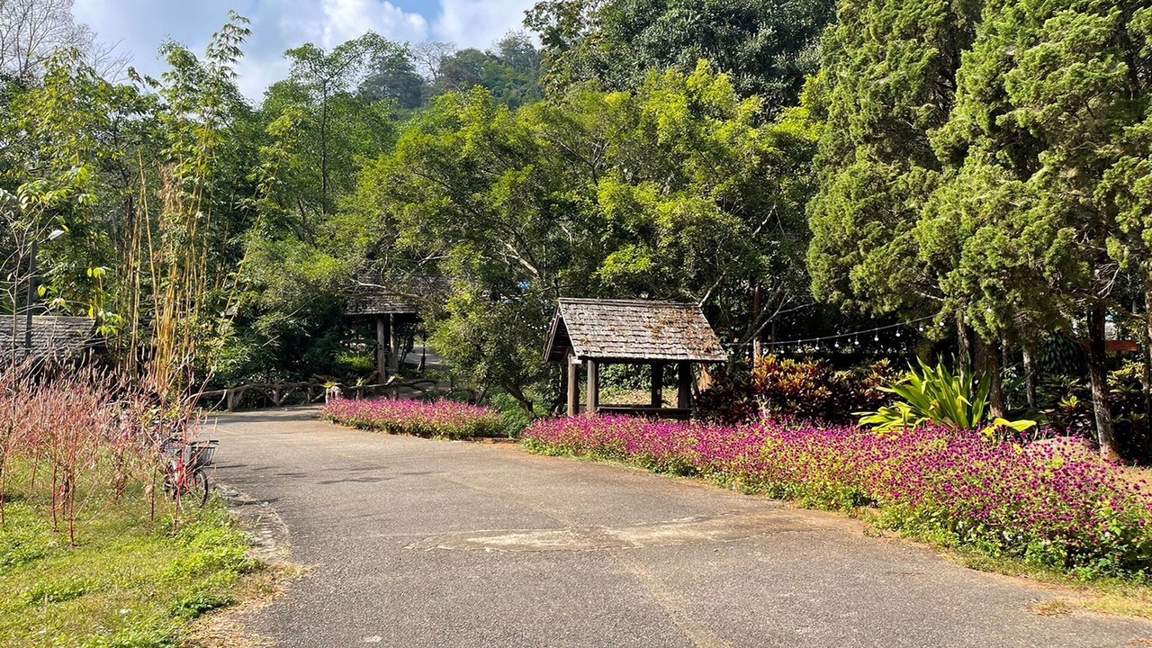 Photo of Outdoor in Pong Yaeng