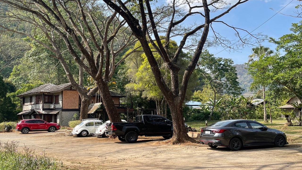Photo of Others in Pong Yaeng