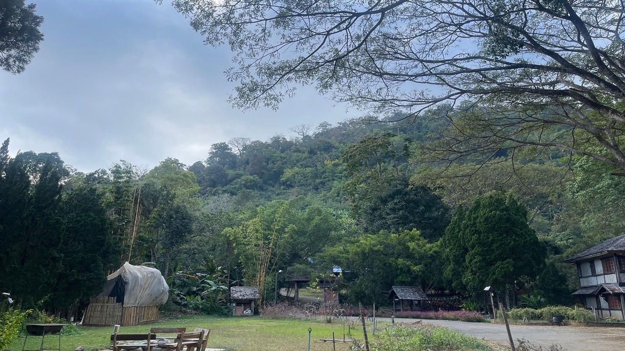 Photo of Outdoor in Pong Yaeng