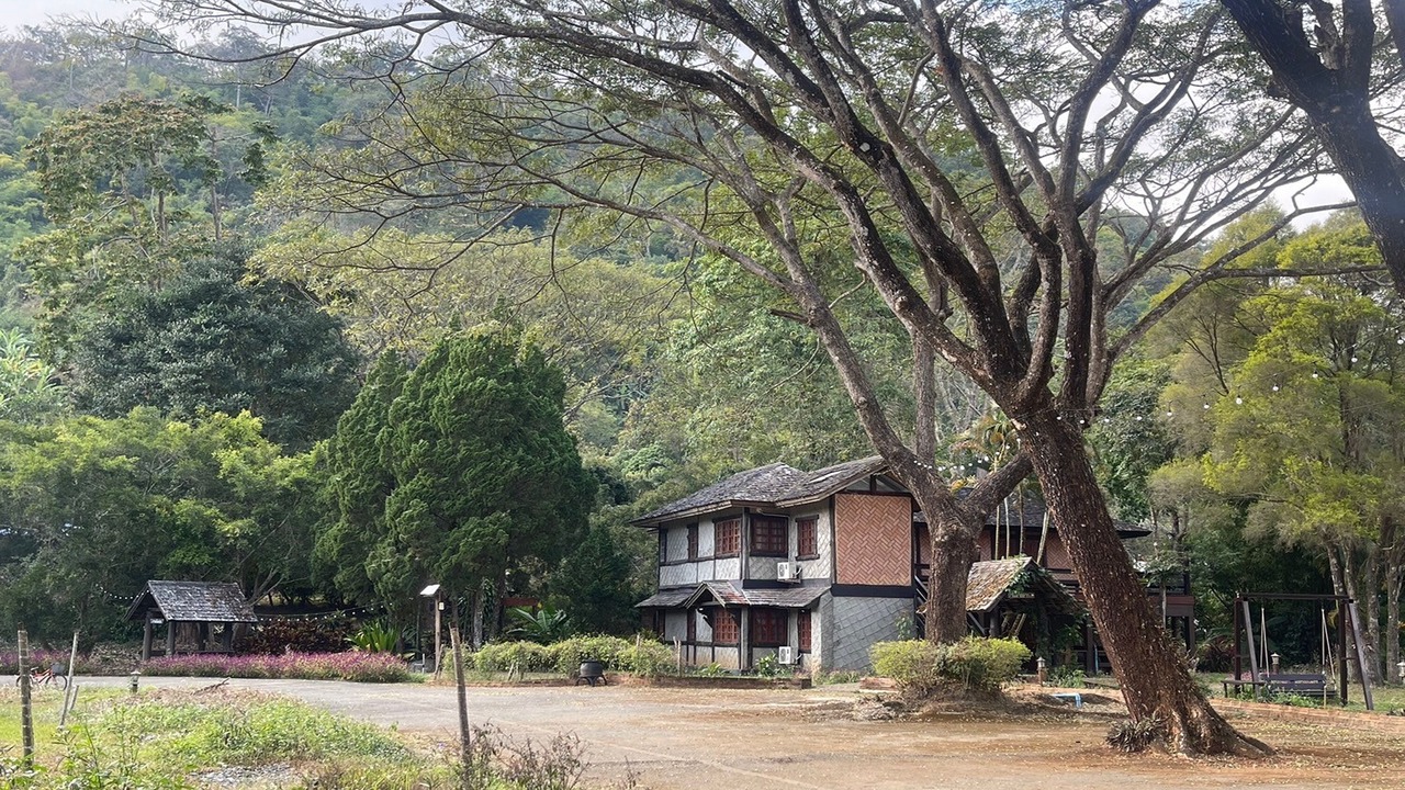 Photo of Outdoor in Pong Yaeng