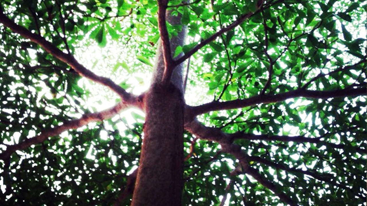 Photo of Outdoor in Samut Songkhram