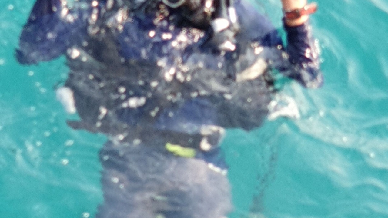 Photo of Others in Saphli