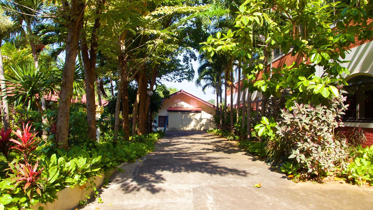 Photo of Outdoor in Tha Thaewawong