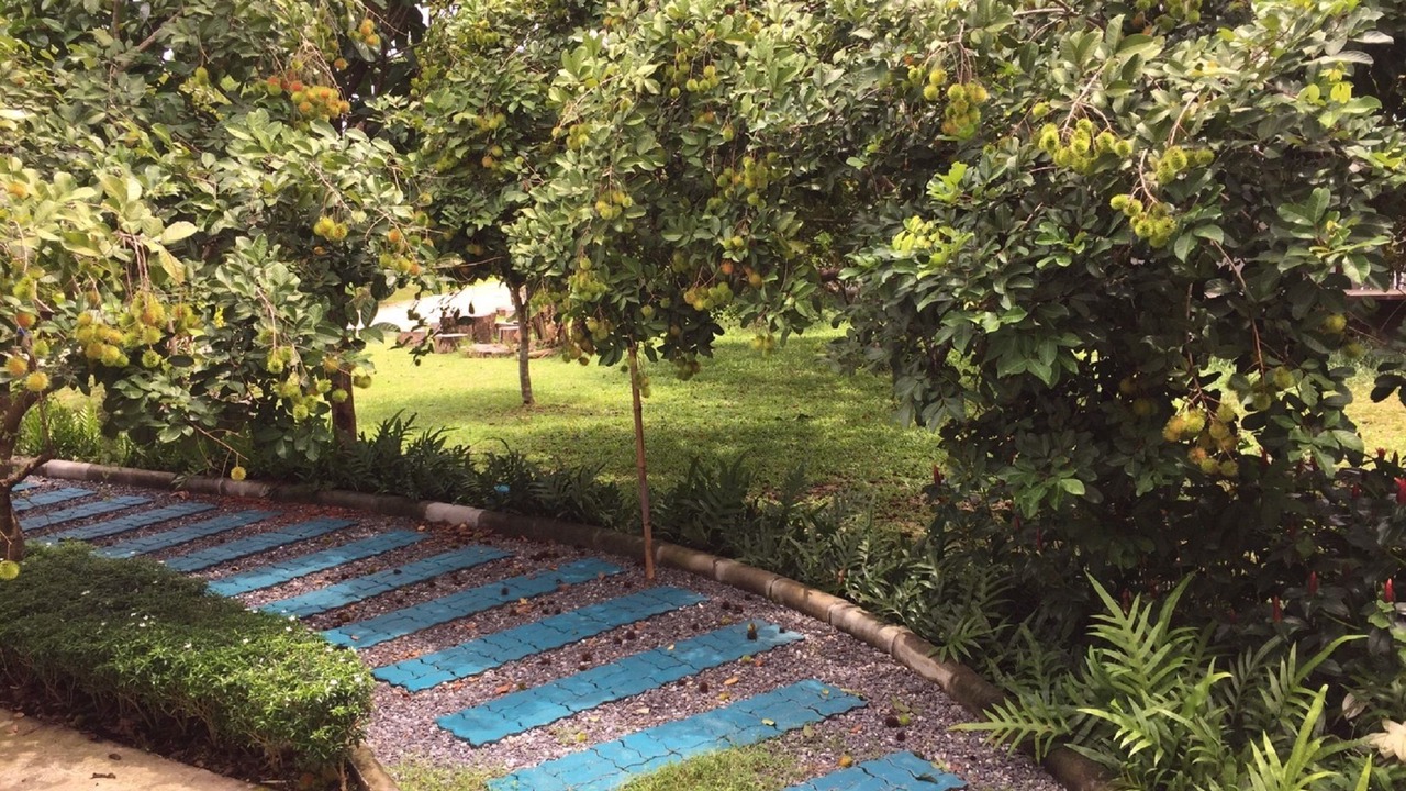 Photo of Outdoor in Sarika