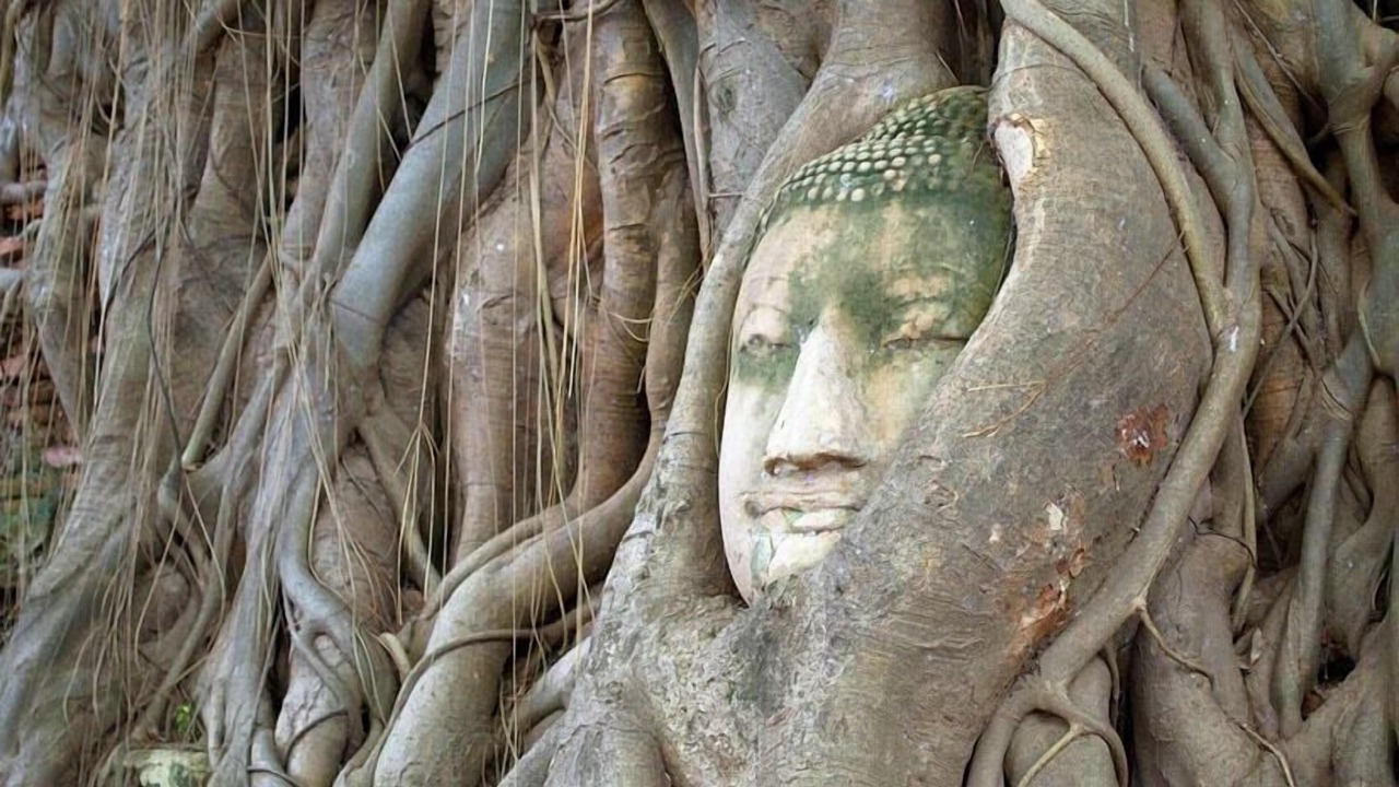 Photo of Others in Ayutthaya