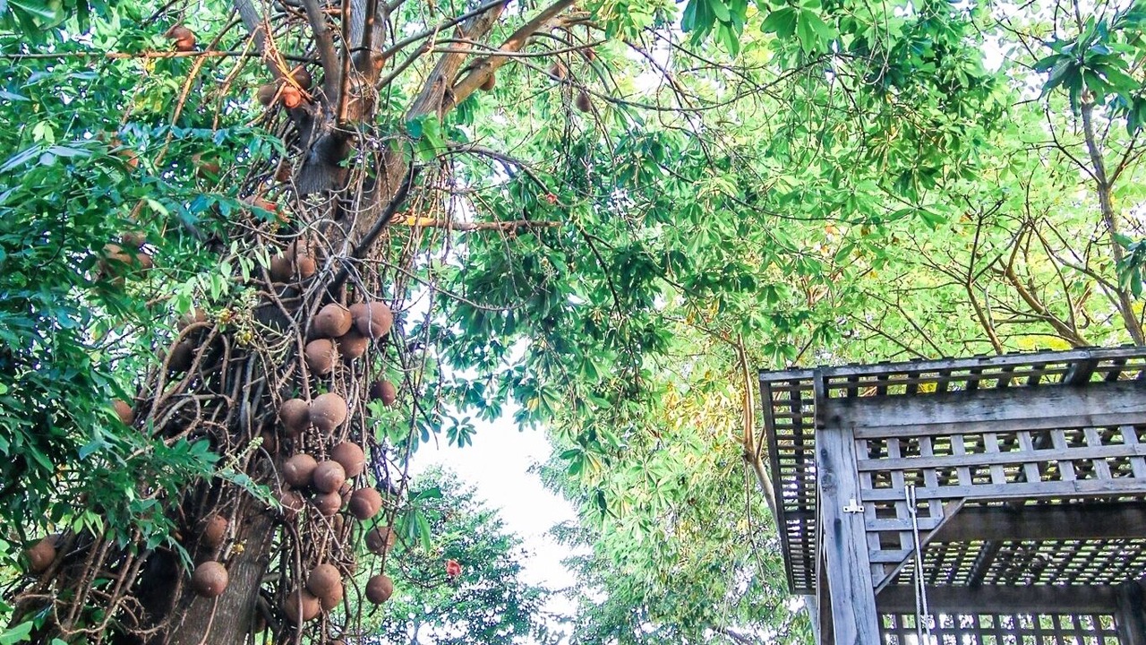 Photo of Outdoor in Ayutthaya