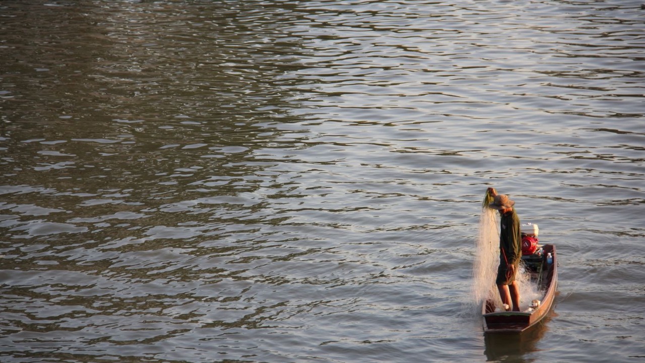 Photo of Others in Ayutthaya