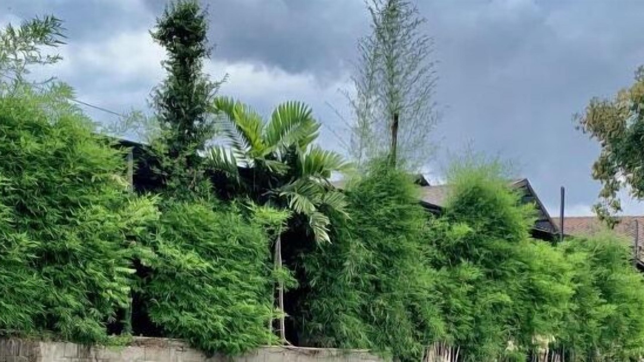 Photo of Outdoor in Mae Sariang