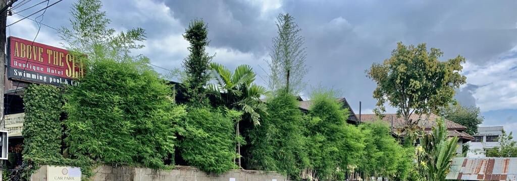 Photo of Outdoor in Mae Sariang