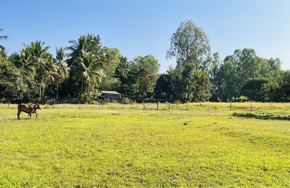 Photo of Others in Nong Khai