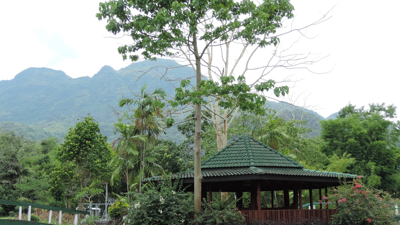 Photo of Outdoor in Mae Sai
