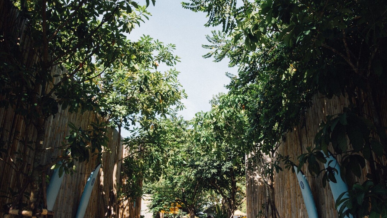 Photo of Outdoor in Sichon