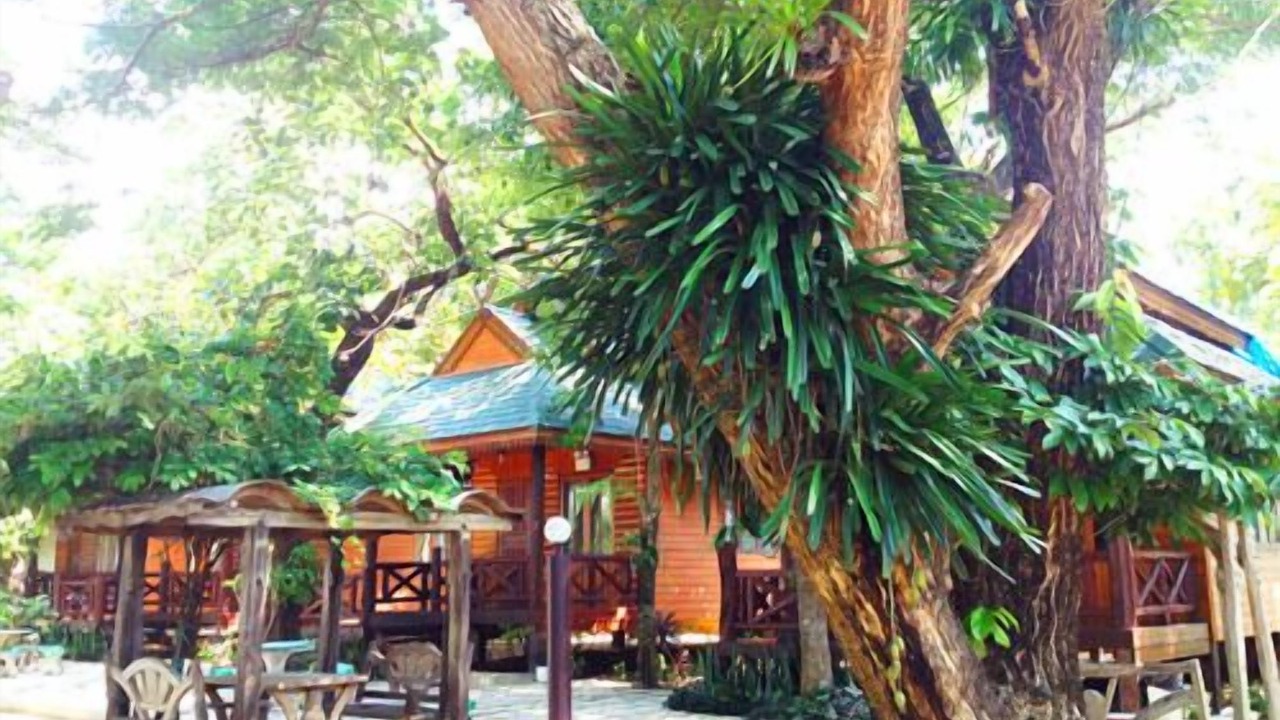 Photo of Outdoor in Takat Ngao