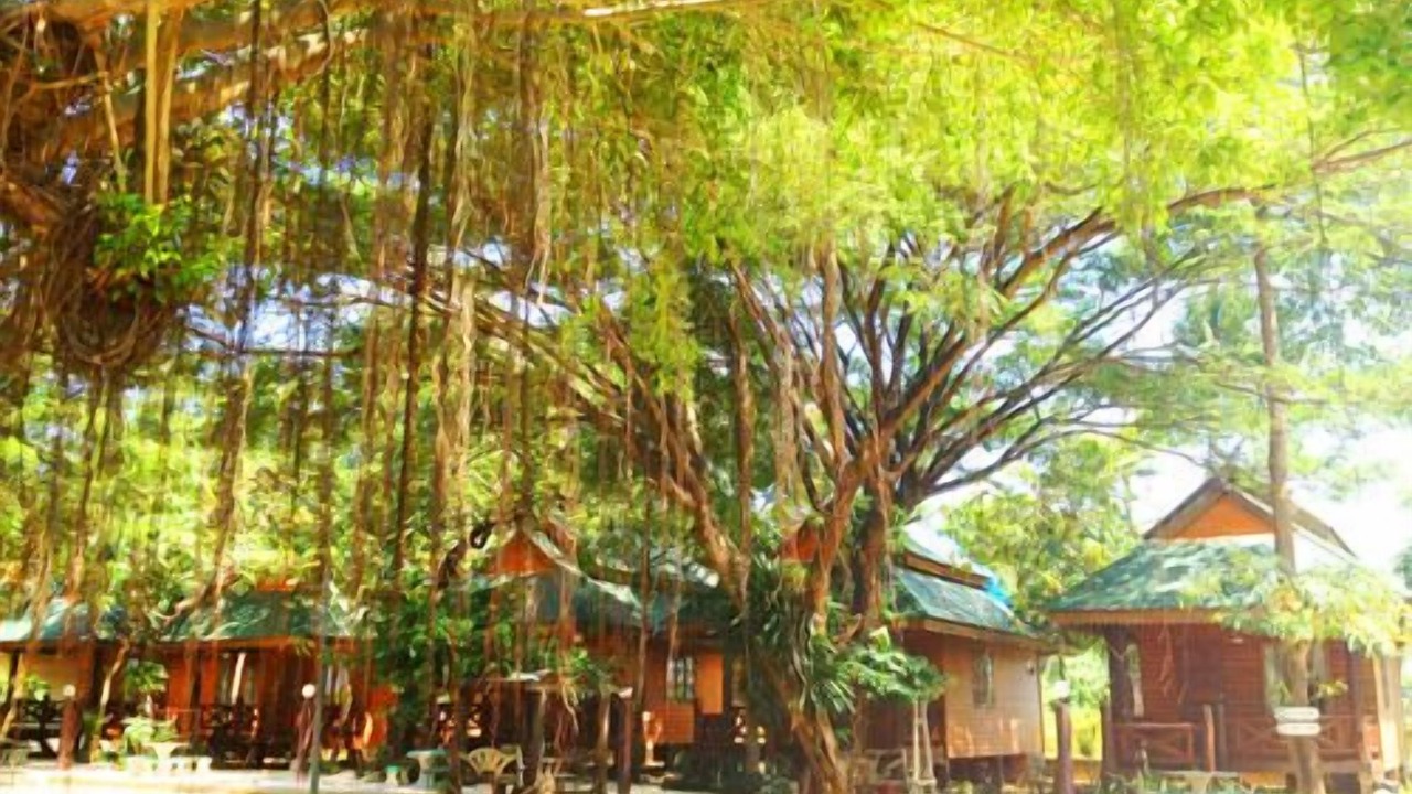Photo of Outdoor in Takat Ngao