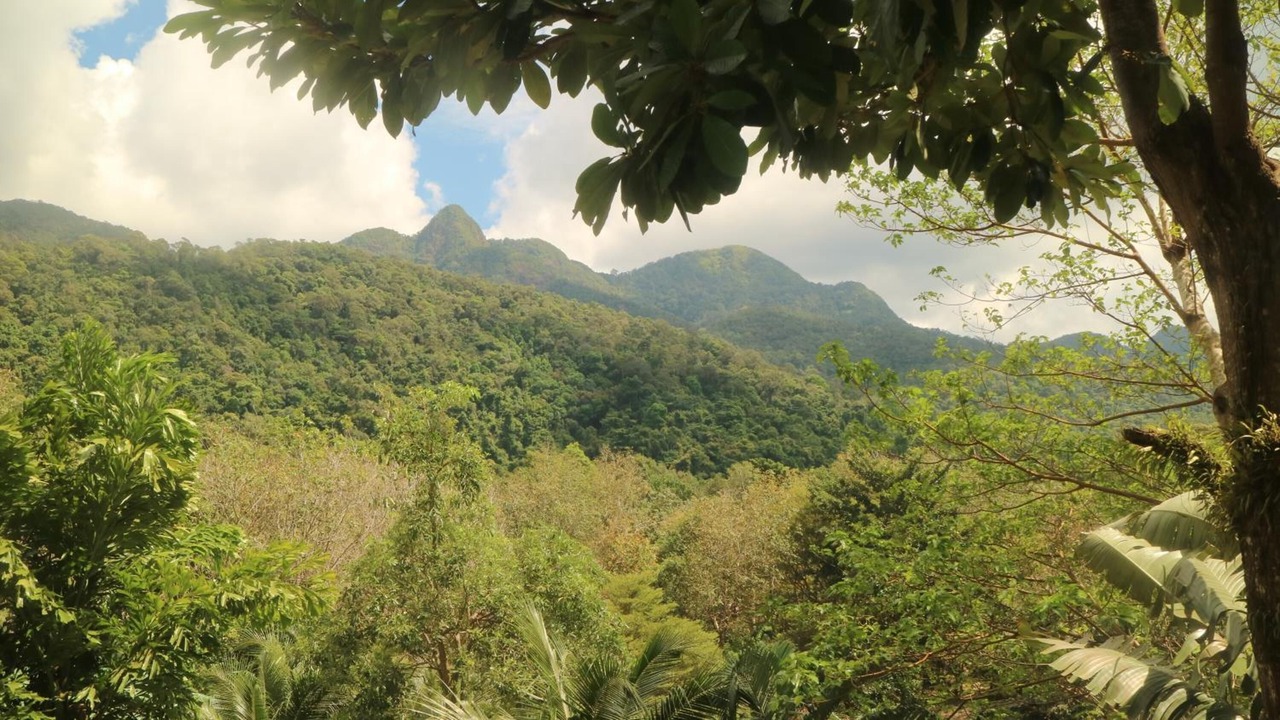 Photo of Outdoor in Ko Chang