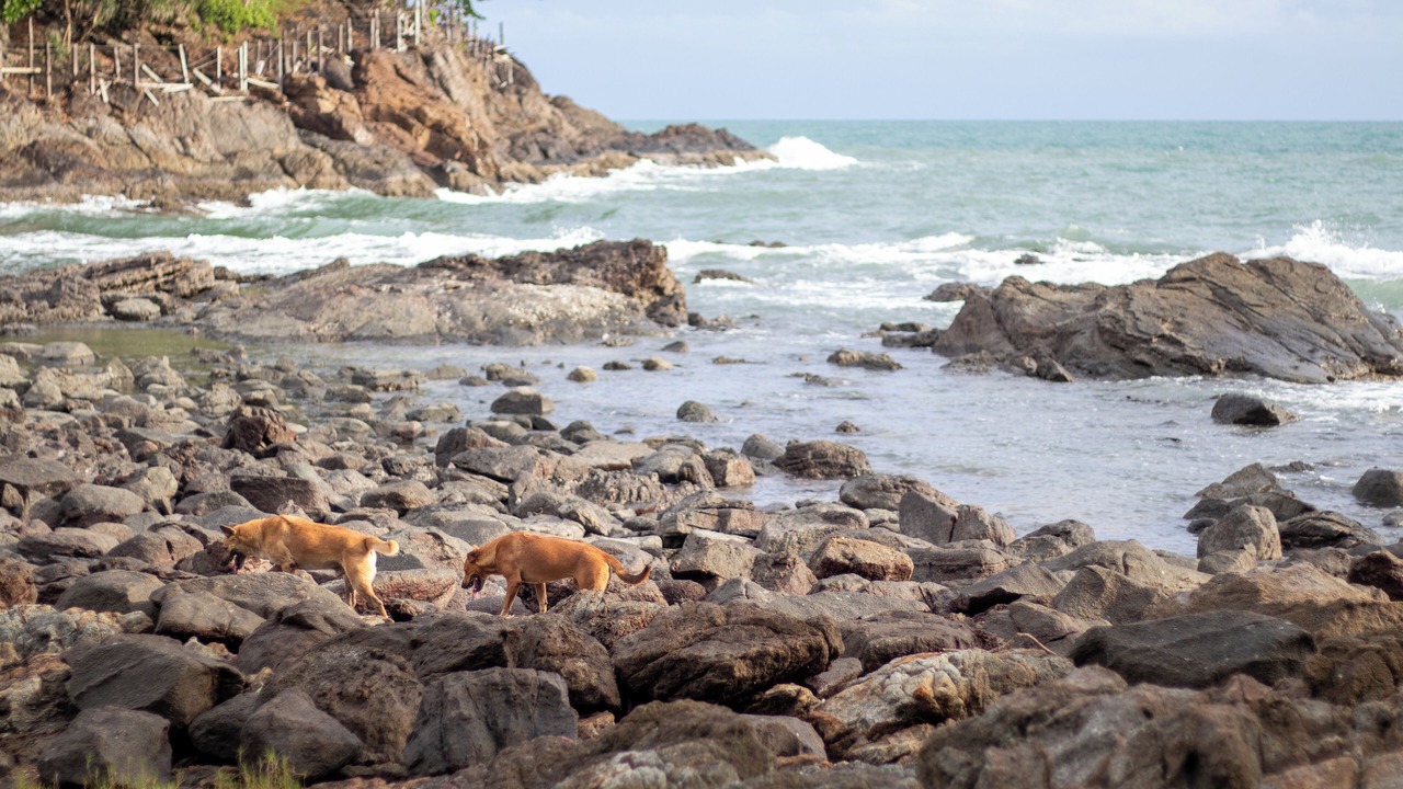Photo of Outdoor in Bang Bao Bay